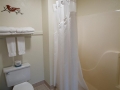 The Presidential Suite