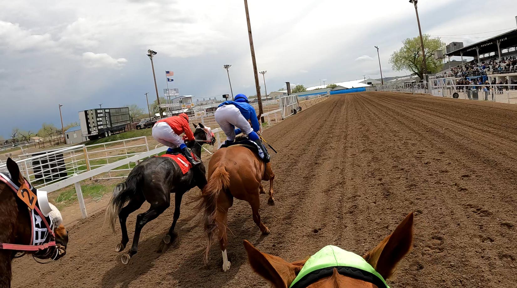 horse-races-gallery-2